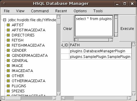 Screenshot HSQL Database Manager